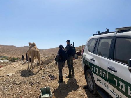 القبض على مشتبه بهم بالمشاركة وتنظيم سباق الابل في النقب